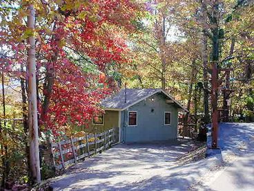 Beautiful Fall Foliage