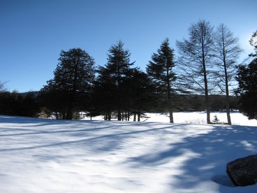 CEDAR CREEK COTTAGE, PETIT TRAIN DU NORD, LAURENTIANS