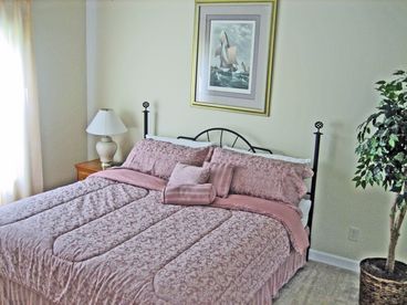 Master BR w/ a King Size Bed