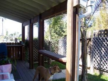 Front yard