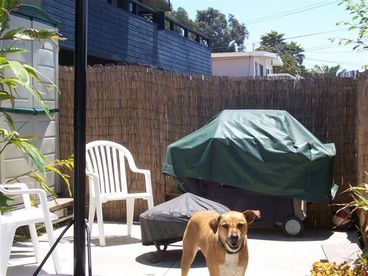 Backyard patio
