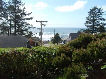 View from Back Yard