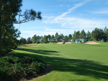 Golf View