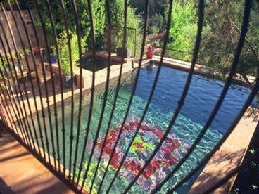Salt Water Pool and Spa