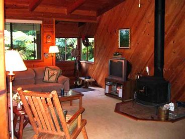 Lounge about in your living room and enjoy a CD or DVD and a fire in the wood burning stove (wood provided). 