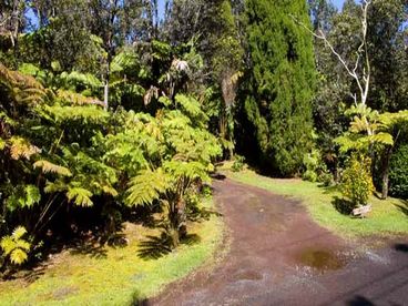 Enter into your private lush rain forest estate. 