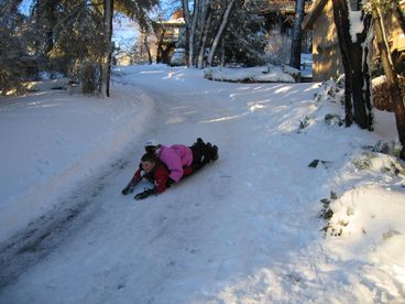Driveway - Winter