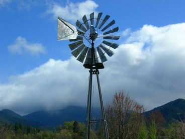 The Windmill Garden