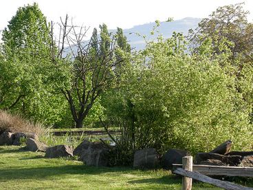 Pond view