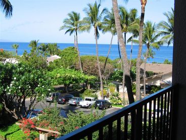 Morning on the lanai