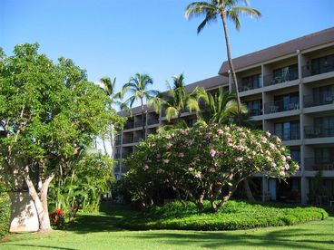Tropical Gardens Surround Condo