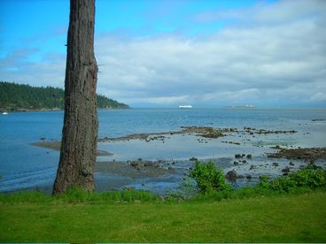 View from the front deck