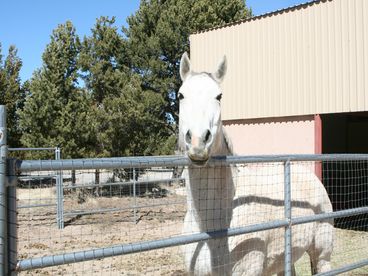 4 Bedroom Mountain Ranch House Vacation Rental