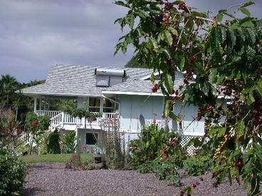 Property from back section