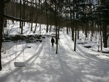 Catskill Ski House