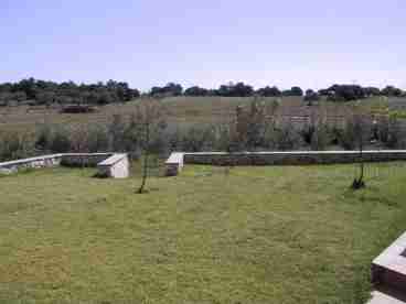 Garden area