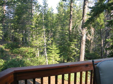 View from the back deck