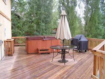 Back deck with spa