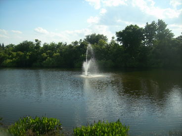view with a lake on property