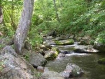 The Cascades on Campbells Creek