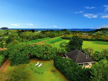 Aloha Sunset Cottage