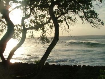 Surfing at Turtle Bay