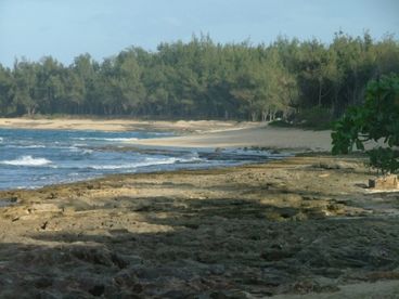 Amazing coastline to the east