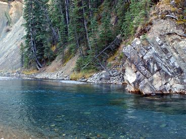 Pristine waters of Waiparous creek.
RiverSideCabin has 2000 ft of private river frontage