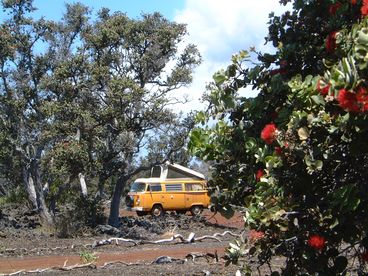 Daisy the Daydream VW Camper Bus