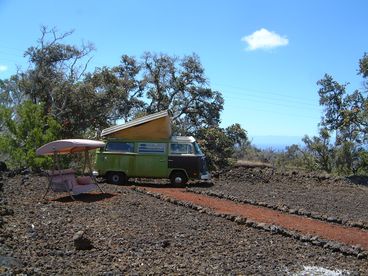 Garth the Gecko VW Camper Bus