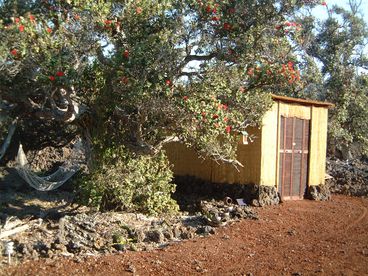 Communal Compost Toilet