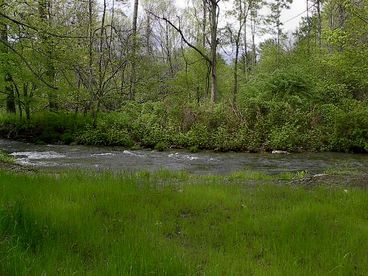 River~ stocked with trout