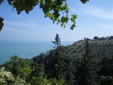 View from the grounds