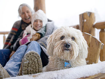 Bridger Vista Lodge - enjoy the mountains in comfort