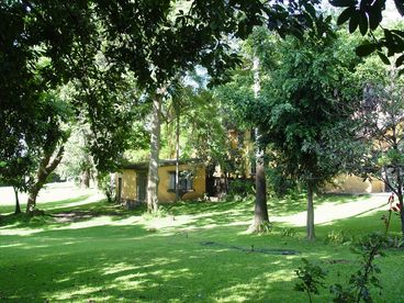 0.5 hectare of lush green gardens featuring local palm trees, fruit trees, and century old
local trees.