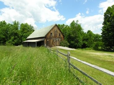 Pumpkin Blossom Farm