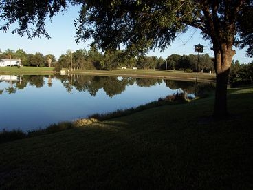 our backyard pond stocked with big bass
