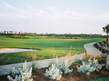 Golf Course