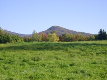View from the back of the property