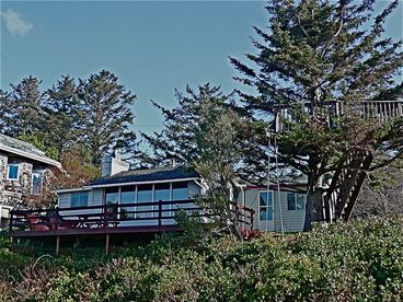 Knotty Pine Ocean View Cabin- pet friendly-Off season weekdays- 4th night free