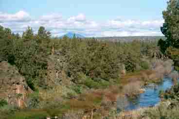 View from house