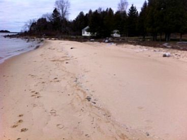 Beach view in front of cabin