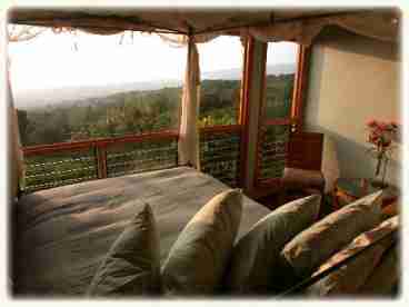 Halawai Room Bed View