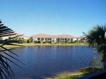 Tranquil view from the screened lanai.