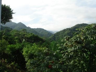 View from Bedroom toward the mountainside.