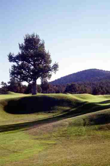 Golf Course View