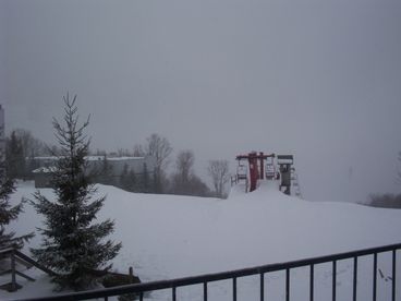 Snow! Snow!
