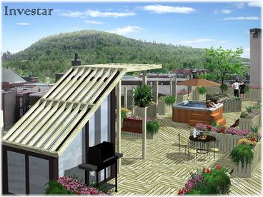 Roof Top Terrace