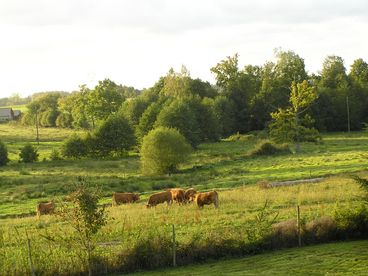 Countryside view from Inn