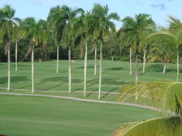 Great Value Villa at Wyndham Rio Mar Resort  Spa